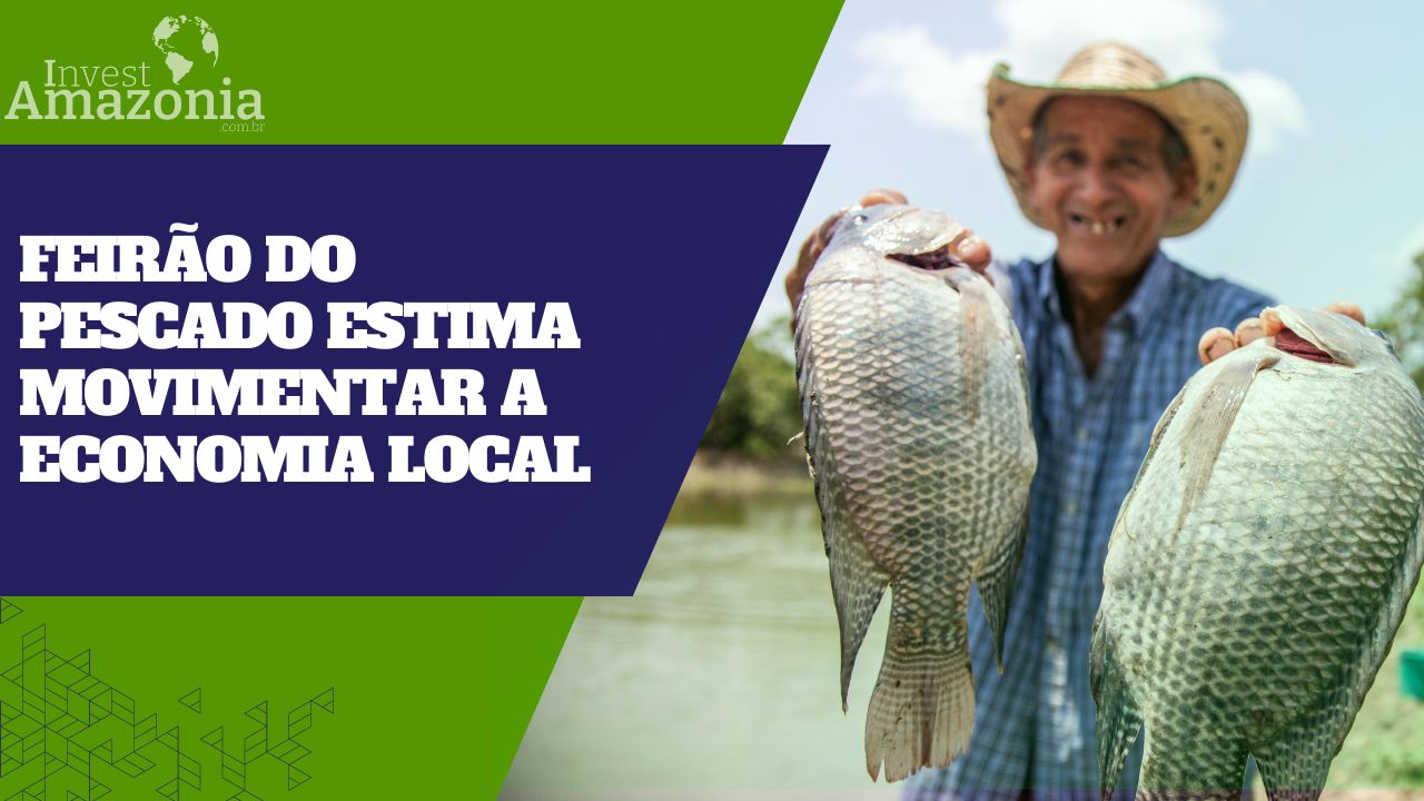 Feir O Do Pescado Invest Amaz Nia Brasil